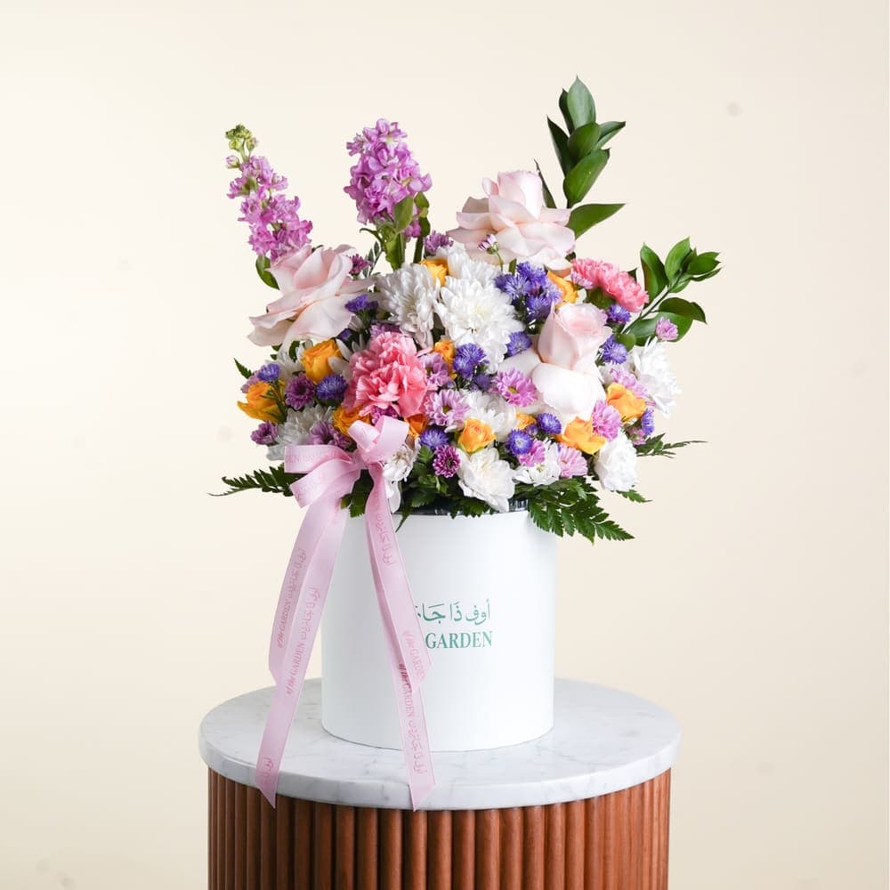 Amalia Box