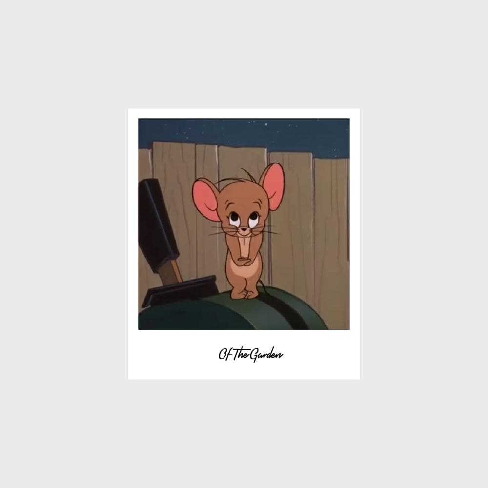 كرت جيري