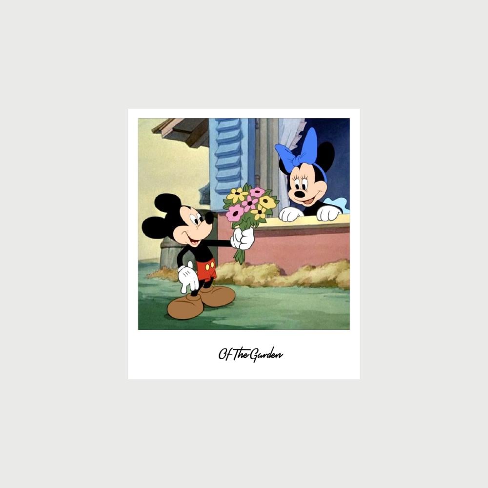 كرت ميكي